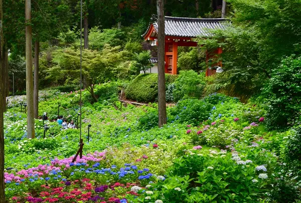 三室戸寺