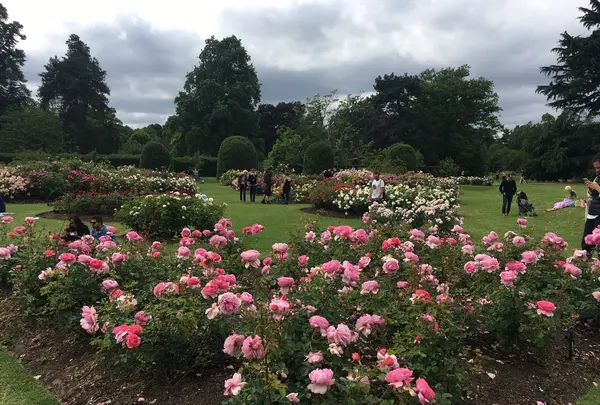 Royal Botanic Gardens, Kew