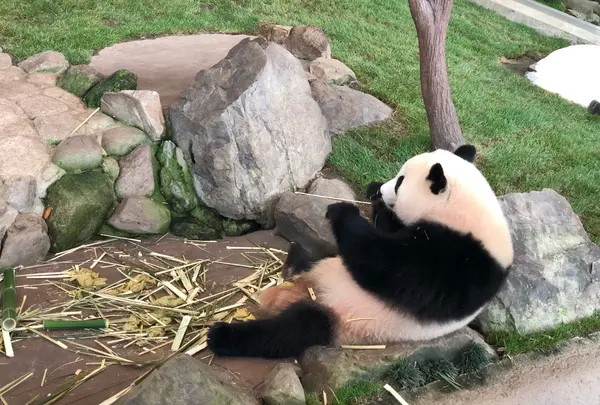 アドベンチャーワールド