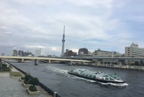 隅田川テラスの写真・動画_image_341528