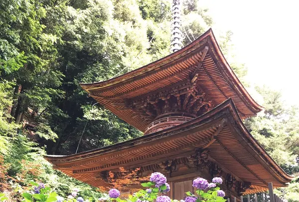 日龍峰寺（高沢観音）の写真・動画_image_342159