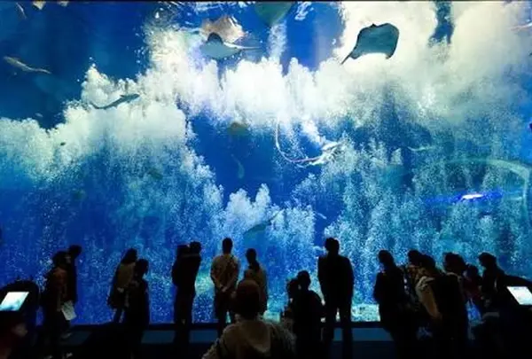 アクアワールド茨城県大洗水族館