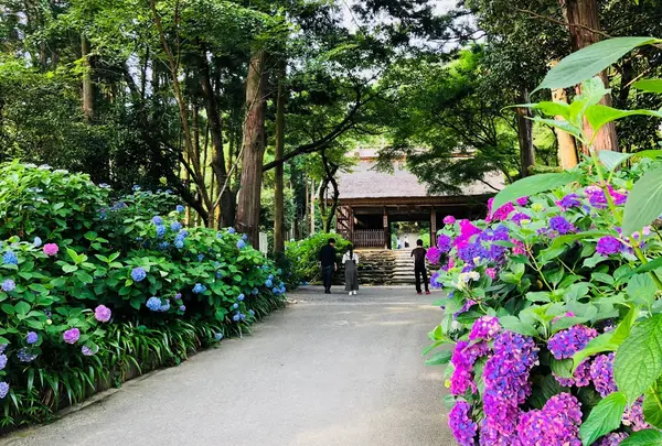 阿弥陀寺