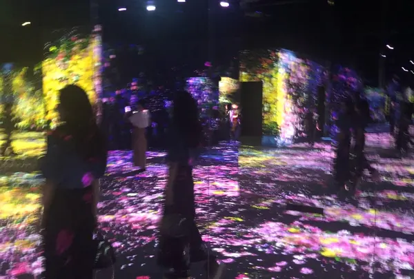 【閉業】森ビルデジタルアートミュージアム：エプソン チームラボボーダレス（MORI Building Digital Art Museum: EPSON teamLab Borderless）の写真・動画_image_342594