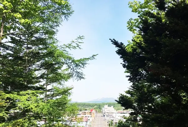 中標津町