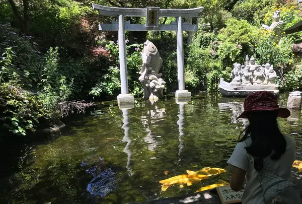 黄金池