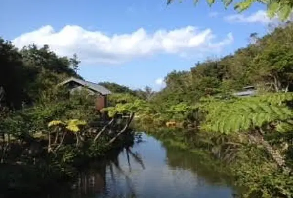 カフェ七色の風