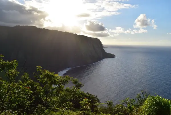 Waipio Valleyの写真・動画_image_346450