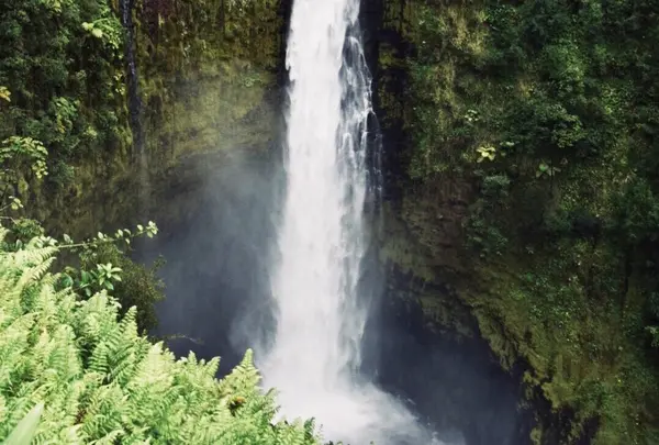 アカカ滝の写真・動画_image_347009