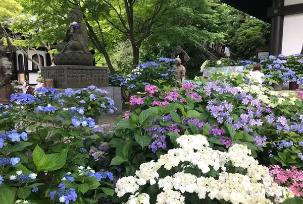 長谷寺