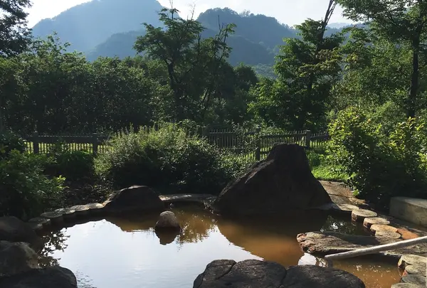 南玉川温泉 湯宿 はなやの森