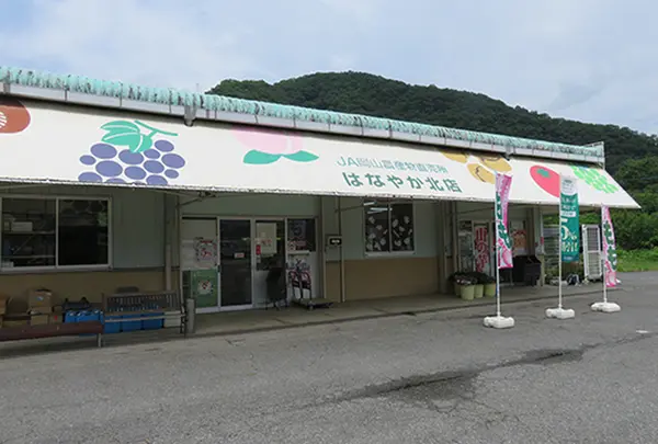 農産物直売所 フルーツ王国 一宮直売所