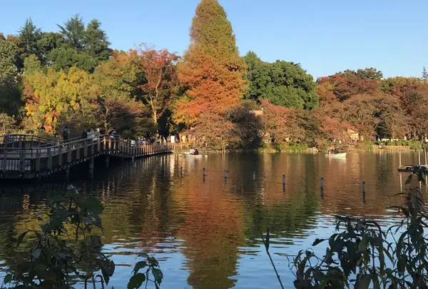 井の頭恩賜公園の写真・動画_image_403983