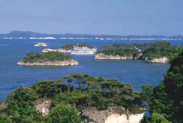 松島島巡り遊覧船