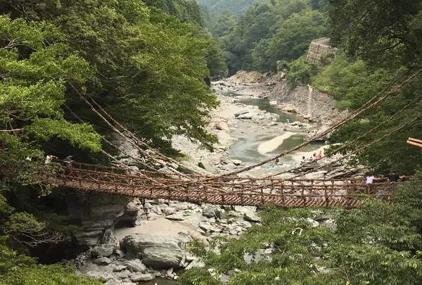 祖谷のかずら橋