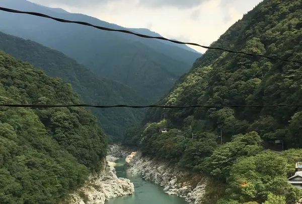 大歩危峡の写真・動画_image_406045