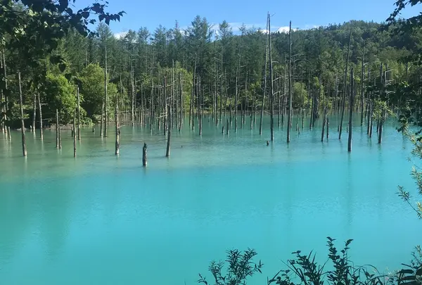 青い池