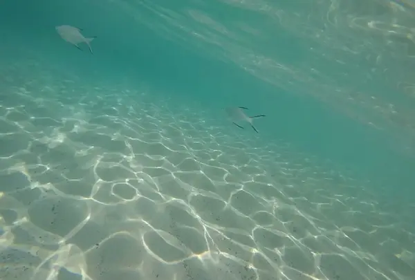 土盛海岸の写真・動画_image_406637