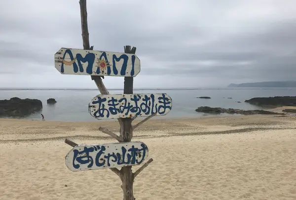 ばしゃ山村
