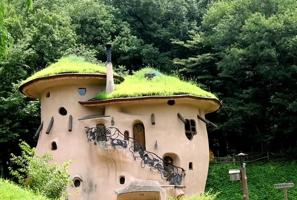 フィンランドの森