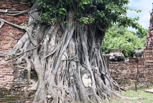 Wat Mahathat（ワット・マハタート）の写真・動画_image_407412