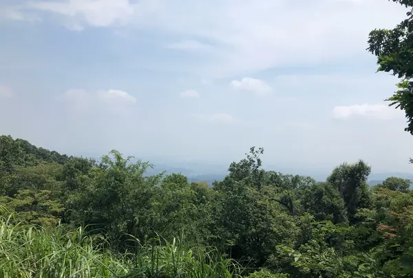 高尾山