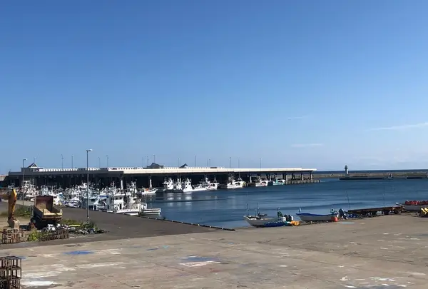 羅臼漁協 流通部市場事務所・羅臼地方卸売市場の写真・動画_image_407736