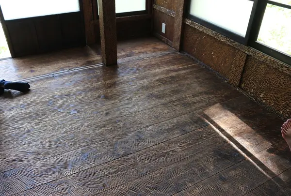 脱皮する家