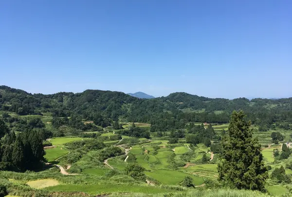星峠の棚田
