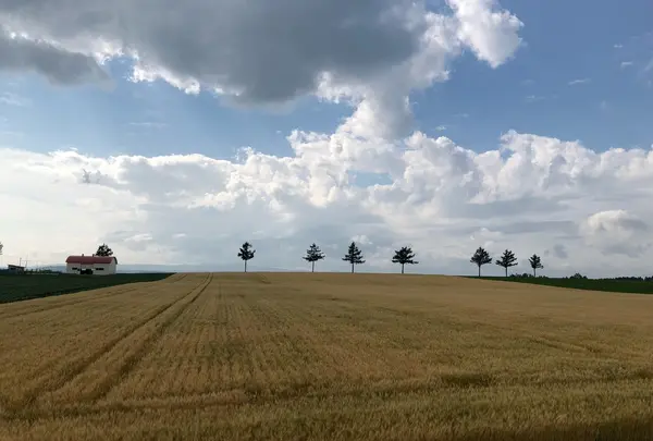 メルヘンの丘の写真・動画_image_407884