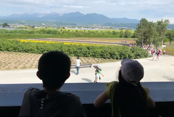 ファーム富田