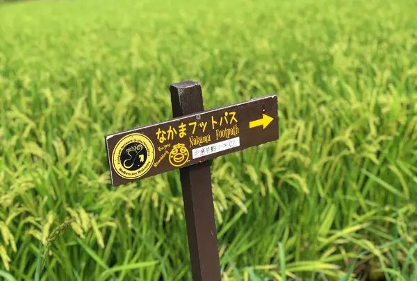 なかまフットパス