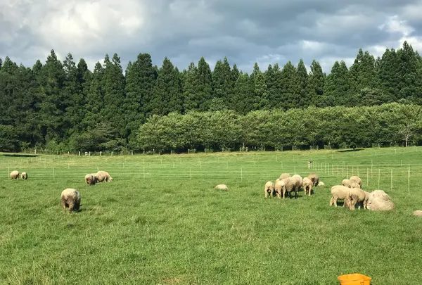 星と自然館