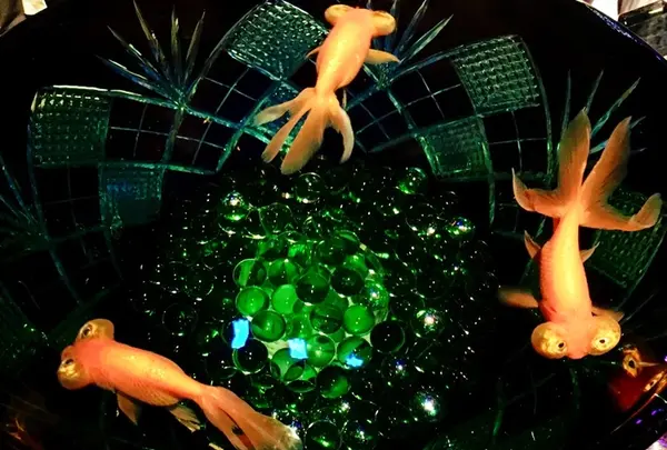 アートアクアリウム2018（7/6〜9/24）