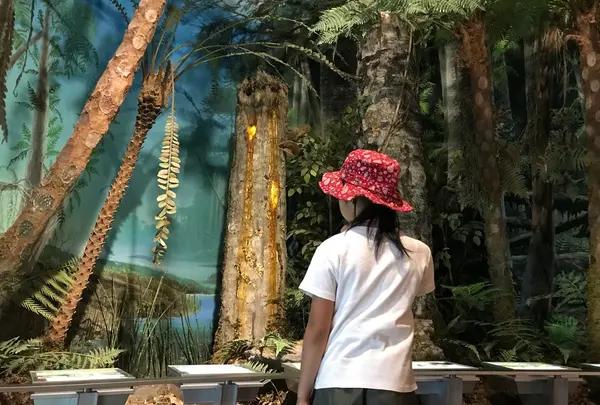 久慈琥珀（株） 久慈琥珀博物館