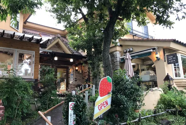 レマンの森