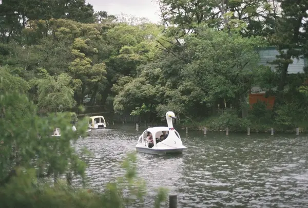 洗足池公園