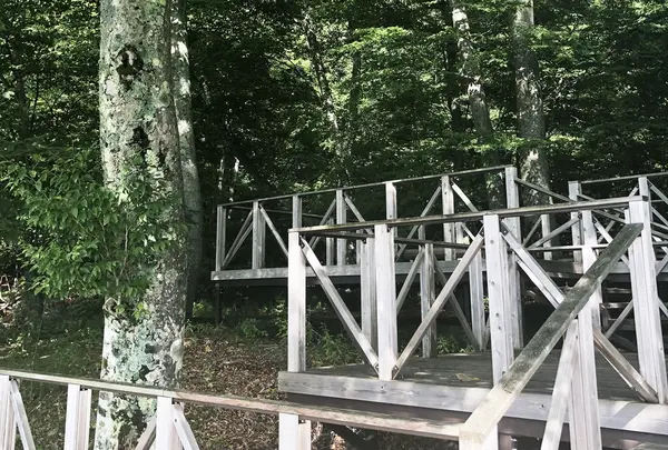 イタリア大使館別荘記念公園の写真・動画_image_410480