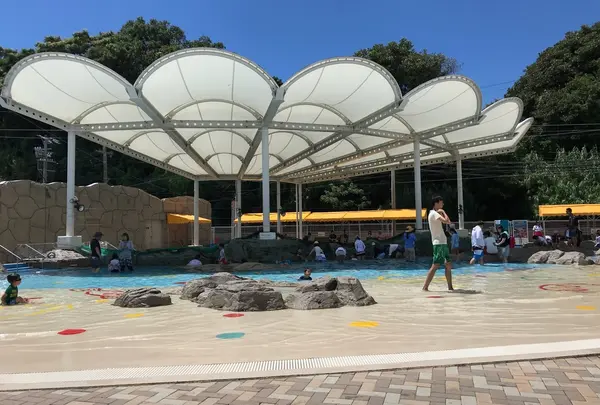 海ほおずき
