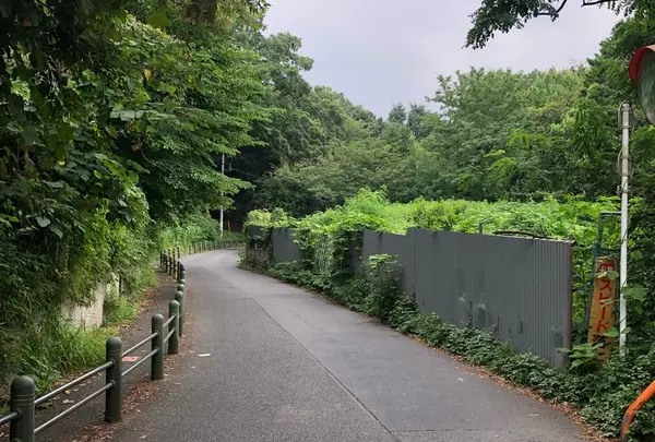 戸山公園（交通公園）の写真・動画_image_411353