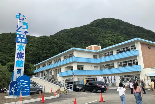 むろと廃校水族館の写真・動画_image_411392