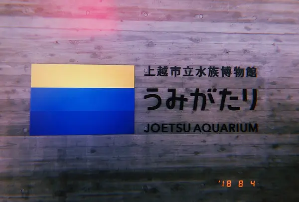 上越市立水族博物館 うみがたり（旧：上越市立水族博物館）の写真・動画_image_412024