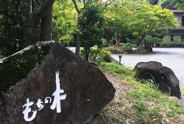 渓谷別庭 もちの木の写真・動画_image_412757