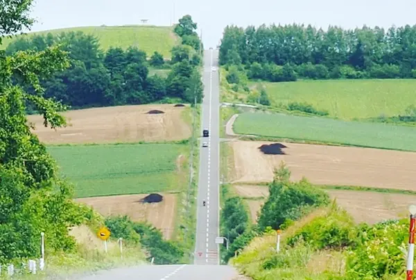 ジェットコースターの路