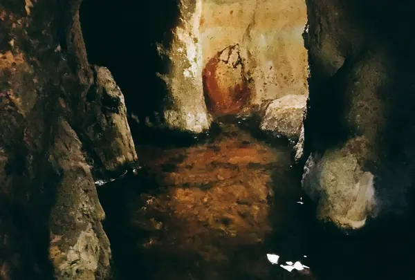黒川温泉 新明館の写真・動画_image_412929