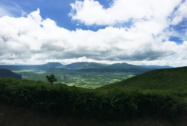 大観峰の写真・動画_image_412936