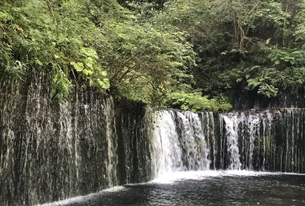 白糸の滝