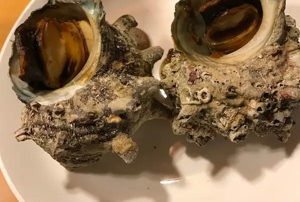 大政（うどん屋台）