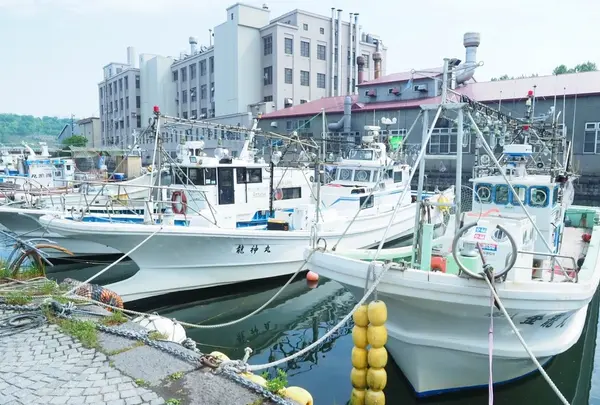 青の洞窟 ボートクルーズ