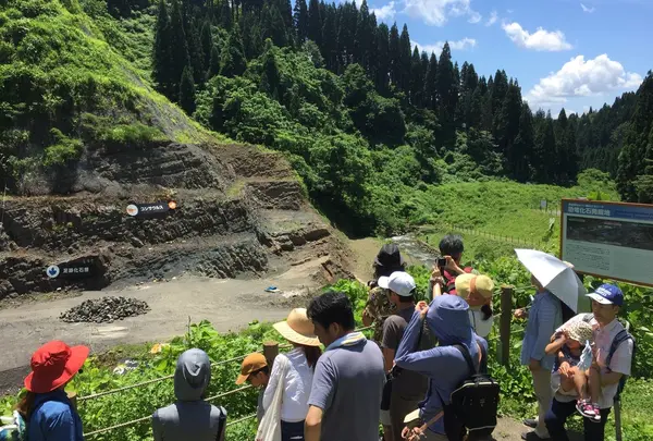 野外恐竜博物館の写真・動画_image_413785